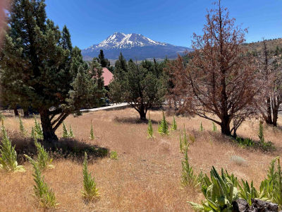 0 Saddle Ridge Rd Weed, CA 96094