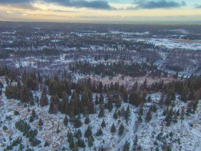 69783 Tipton Ave Anchor Point, AK 99556