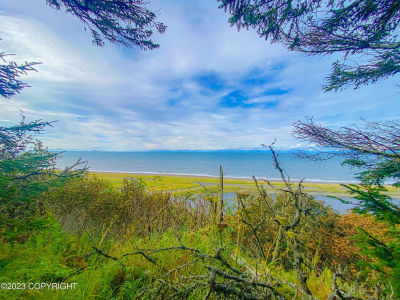0 Sandbeach Rd Anchor Pt, AK 99556