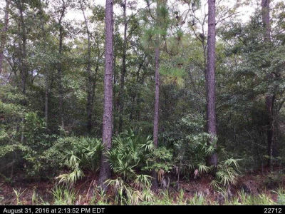 Cricket Ln, Rincon, GA, USA