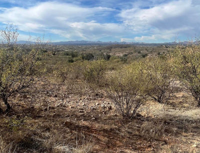 1039 Payaso Ct #35 Rio Rico, AZ 85648