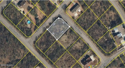 952 Calle Gomez Rio Rico, AZ 85648