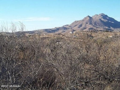 1068 Paseo Magdalena #7 Rio Rico, AZ 85648