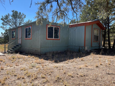 111 Homestead Trl Datil, NM 87821