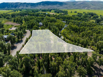 451 Kokanee Ct Gunnison, CO 81230