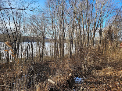 6 Willow Rd Carmel, NY 10512