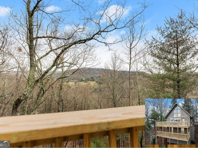 291 Saddleback Cir Dillard, GA 30537