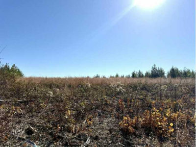 St Rt 399 Lots 1 & 2