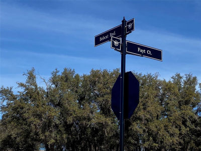 Fayt Ct Georgetown, TX 78628