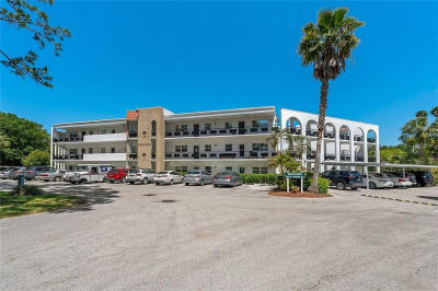 100 El Camino Dr APT 309 Winter Haven, FL 33884