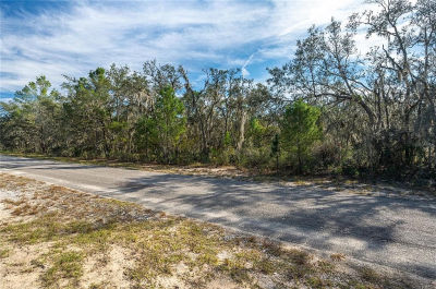 0 Deer Rd LOT 132 Frostproof, FL 33843