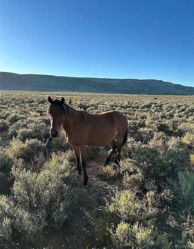 333 W Valley Dr San Luis, CO 81152