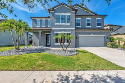 11831 Cross Vine Dr Riverview, FL 33579