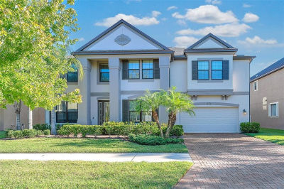 13207 Sunset Shore Cir Riverview, FL 33579