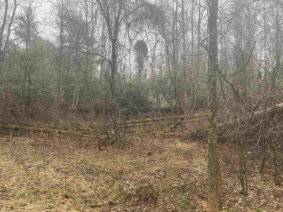 127 Hideaway Cir #19 Ennice, NC 28623