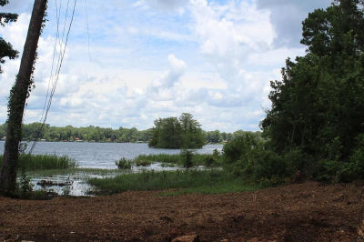 231 Palo Gaucho Xing Hemphill, TX 75948