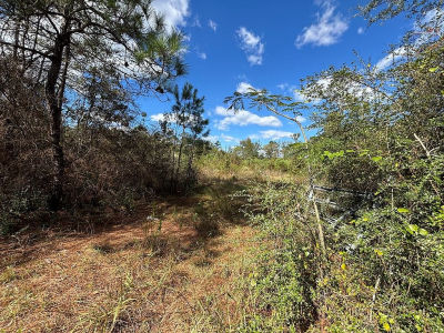 3895 State Highway 21 E Hemphill, TX 75948