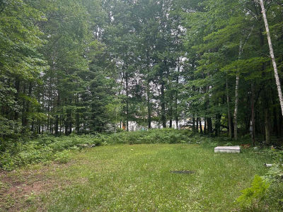 Lots 64 & 65 Todd Dr Prescott, MI 48756