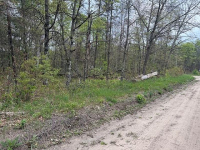 Vl Mount Vernon Ave Idlewild, MI 49642