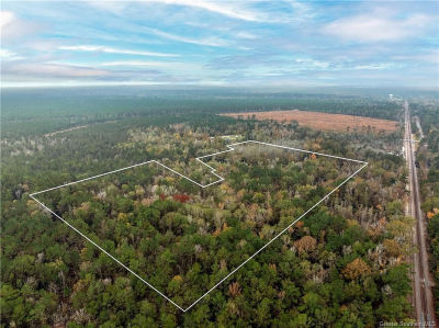 0 Edward St Starks, LA 70661