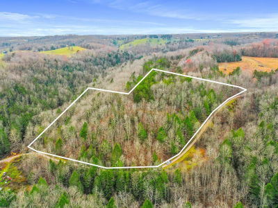 9999 War Fork Rd Mc Kee, KY 40447