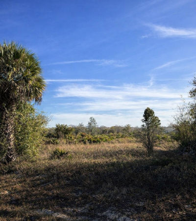 17593 NW 266th St Okeechobee, FL 34972