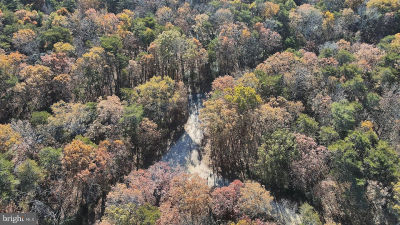 Carpenter Ave Millville, NJ 08332