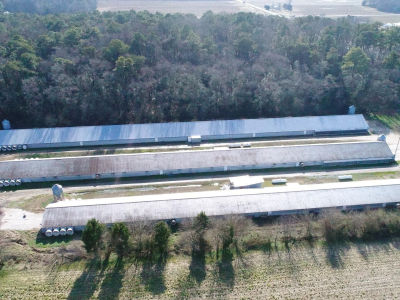 6425 Eldorado Rd Federalsburg, MD 21632