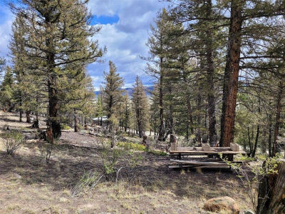 1787 Redhill Rd Fairplay, CO 80440