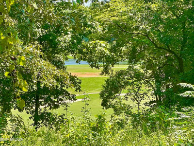 11 Oak Dr Hawkinsville, GA 31036