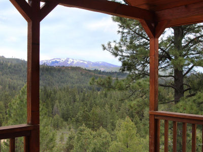 Strawberry Loop Mountain Home, ID 83647