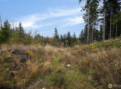 0 Xx 184th Ave E Bonney Lake, WA 98391