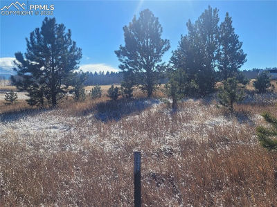 589 Maid Marian Dr Divide, CO 80814