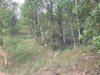 2455 Yorktown Rd Cripple Creek, CO 80813