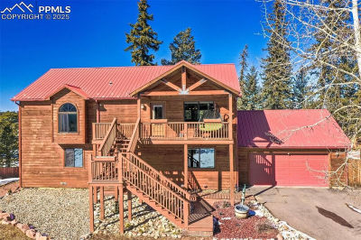 350 Panther Ct Woodland Park, CO 80863