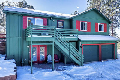 517 Crystal Peak Rd Florissant, CO 80816