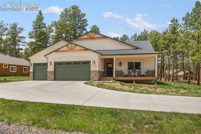 1378 Millstone Ln Woodland Park, CO 80863