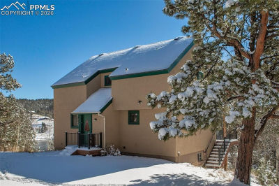 170 Ridge Rd Divide, CO 80814