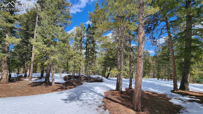 178 Gerka Ln Florissant, CO 80816