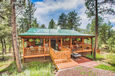 290 N Mountain Estates Rd Florissant, CO 80816
