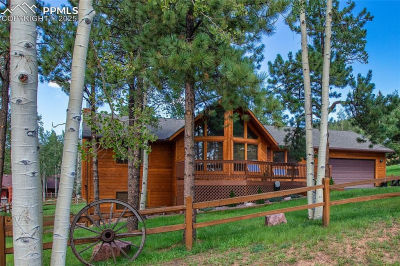 940 E Kelleys Rd Woodland Park, CO 80863