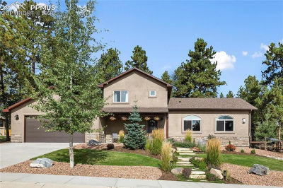 1322 Firestone Dr Woodland Park, CO 80863