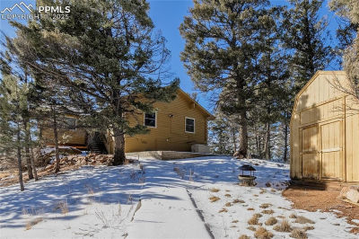 730 Cheyenne Creek Dr Lake George, CO 80827
