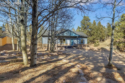 237 Columbine Rd Woodland Park, CO 80863