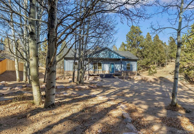 237 Columbine Dr Woodland Park, CO 80863