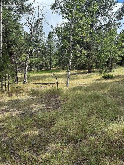 17 Deer Ridge Trl #33 Florissant, CO 80816