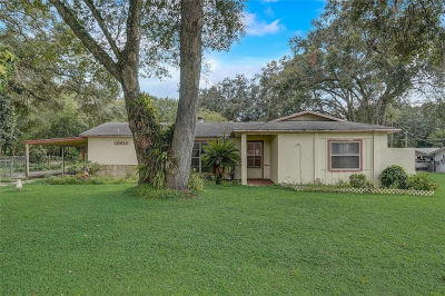 10610 County Road 579 Thonotosassa, FL 33592