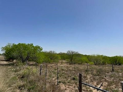0 County Road 231 Premont, TX 78375
