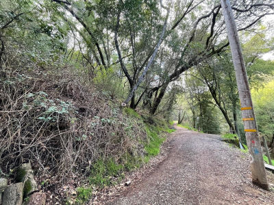 0 Cypress Dr Fairfax, CA 94930