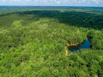 0 Nelson Rd Poplarville, MS 39470